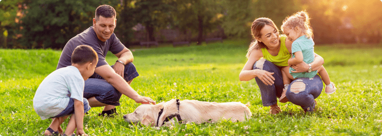 novo jardins,condominio jardins,fgr jardins,jardins miami,jardins miami aparecida de goiânia,fgr jardins goiânia